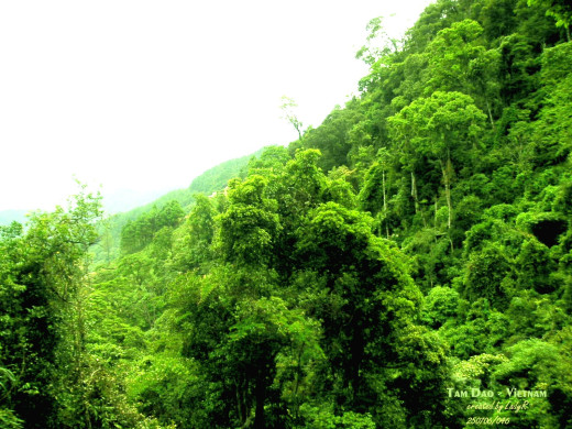 25468 (a): :1600x1200